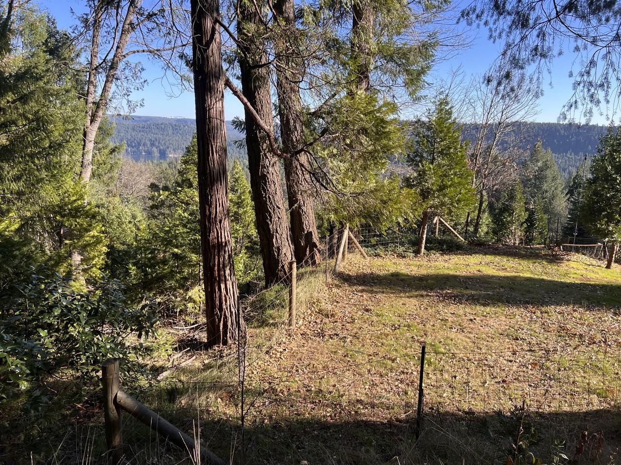 19818 Scotts Flat Rd #1 - Photo 7 of 14