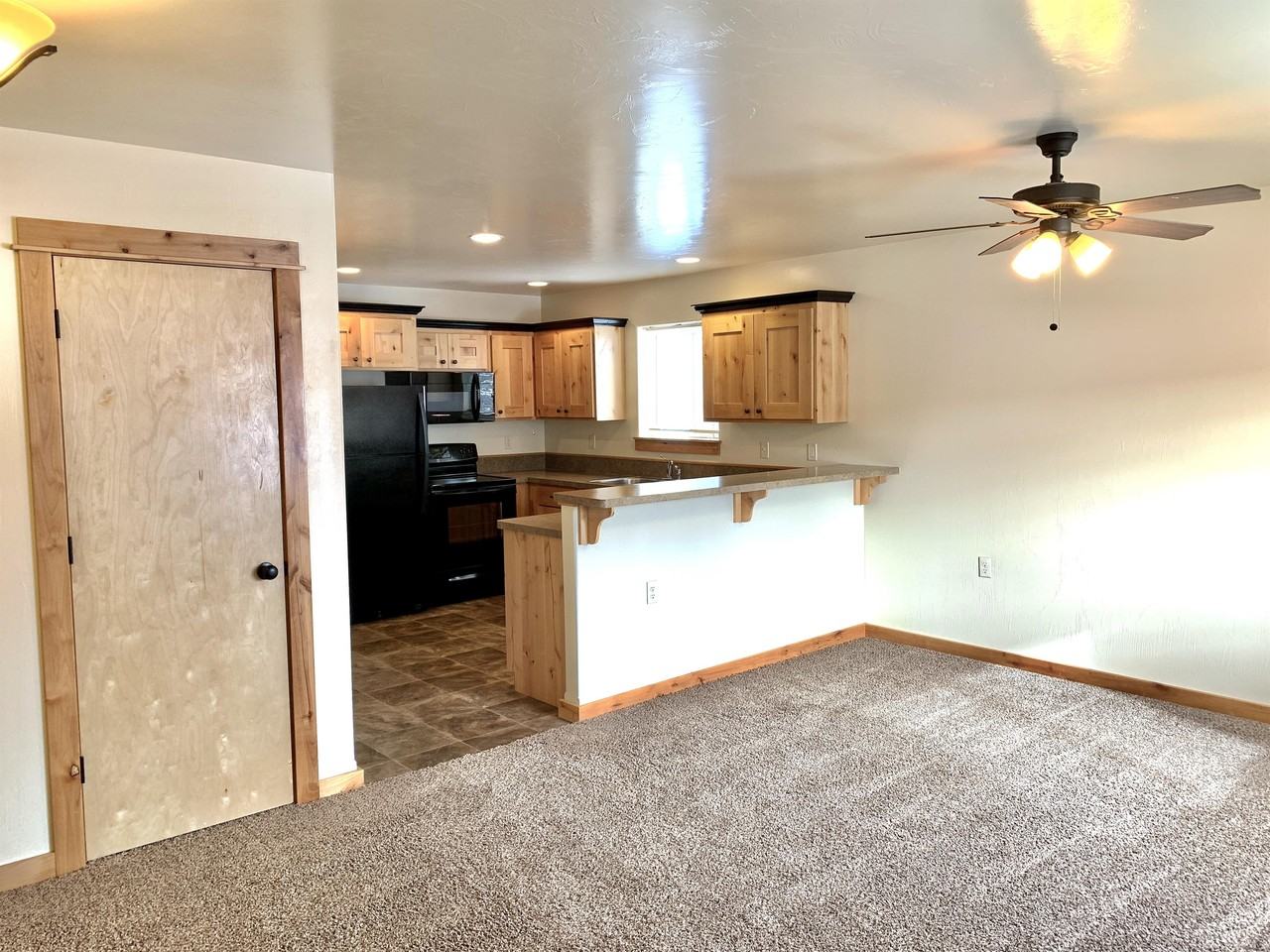 1234 Phoenix - 4 #4 - Photo 2 of 12