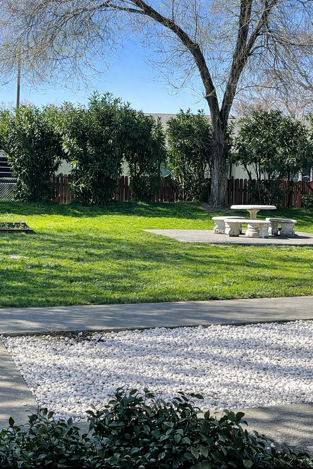 Blue Heron - Dhillon - 0220 - Photo 5 of 18