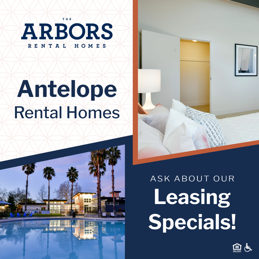 3700 Navaho Dr - Photo 6 of 24