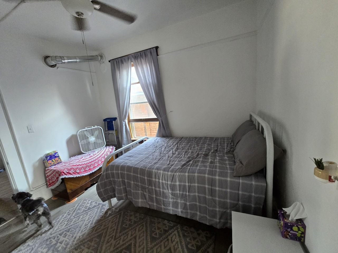 727 Maryland Ave #727 - Photo 2 of 12