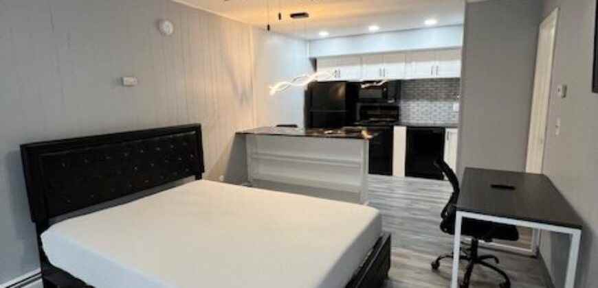 401 Smith StreetD1 #D1 - Photo 2 of 12