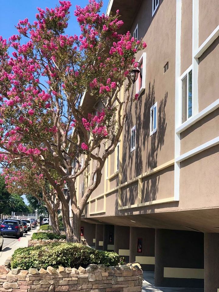 Broadway - Photo 2 of 15