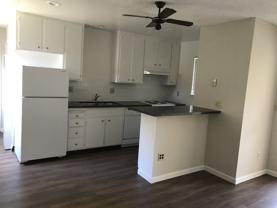 229MV - Photo 1 of 1