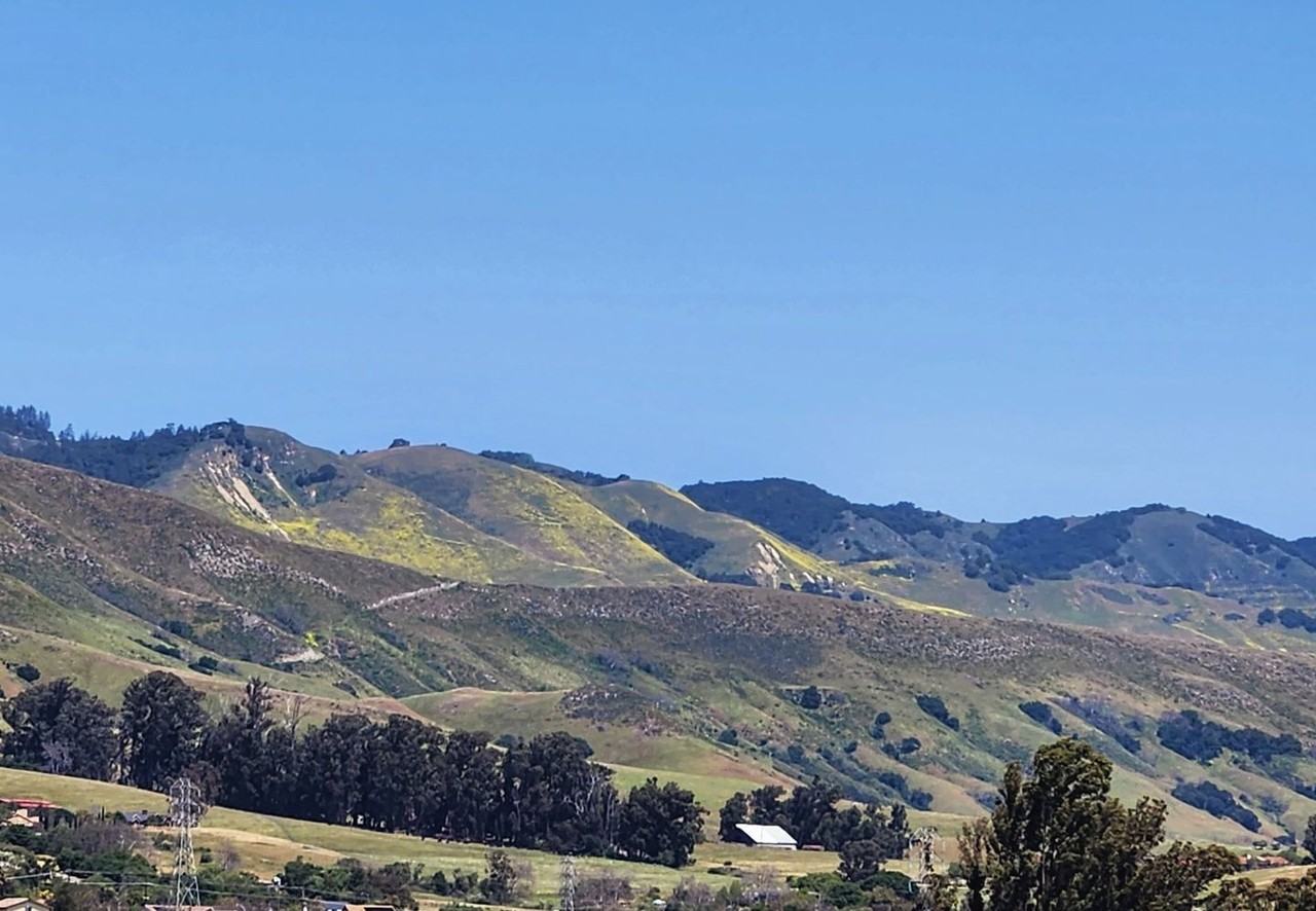 3344 Rockview Ct - Photo 3 of 18