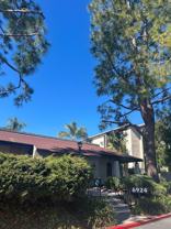 6924 Hyde Park Dr #210 - Photo 1 of 1