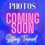 118 Juniper Cv - Photo 1 of 1