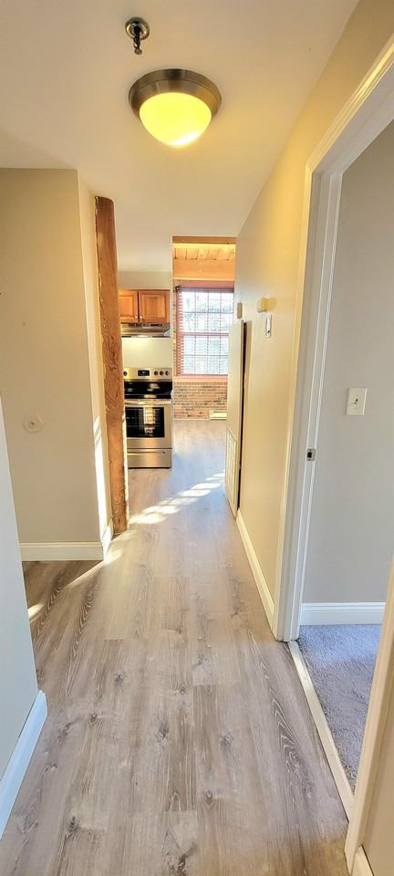 335 Cypress St #1 - Photo 4 of 20