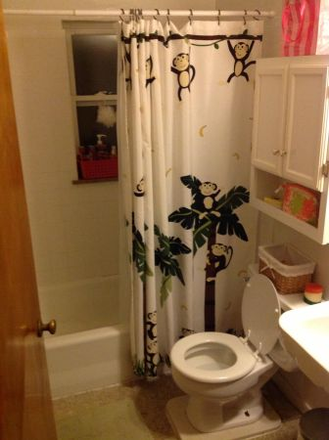 413 Volkert Pl #3 - Photo 5 of 5