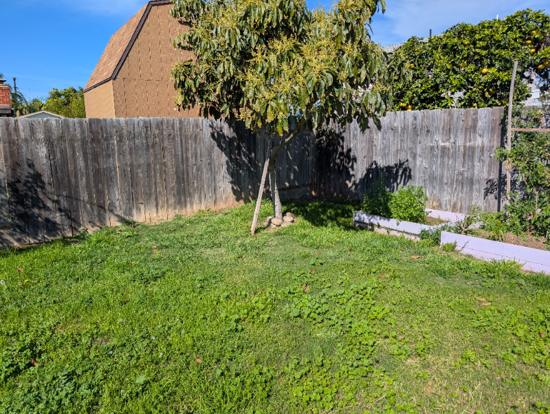 730 Holly Ave - Photo 6 of 20