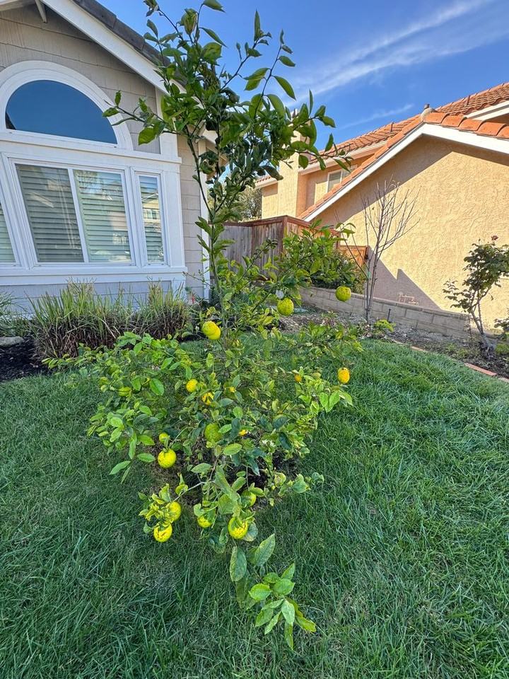 2479 Rikkard Dr - Photo 7 of 32