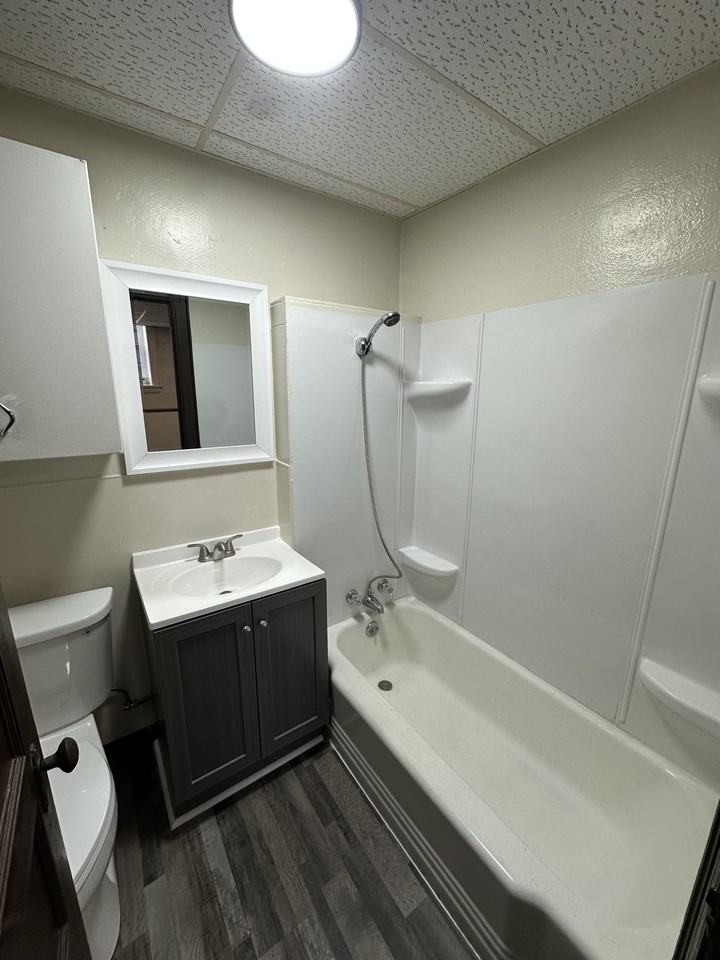 19 7th Ave SE - 39 Plex - Photo 4 of 18