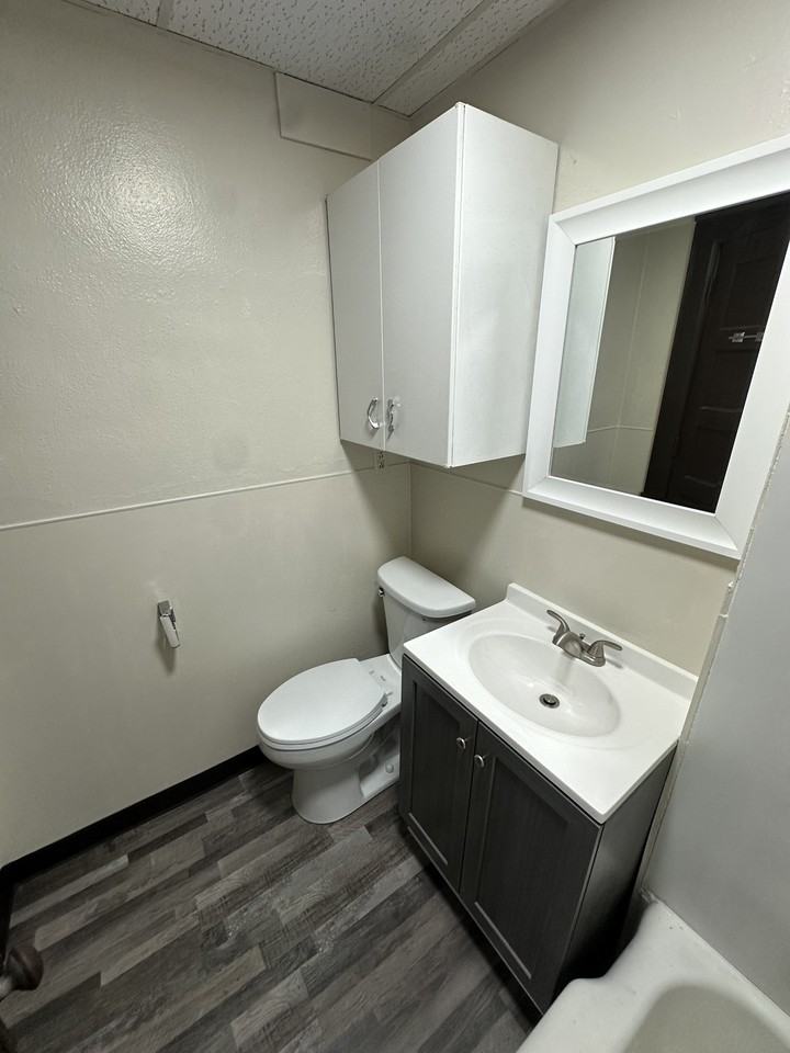 19 7th Ave SE - 39 Plex - Photo 5 of 18