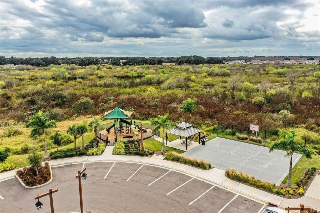 3551 Marigold Patch Ct - Photo 7 of 50