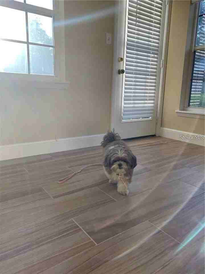 3090 Sunset Point Rd - Photo 6 of 16