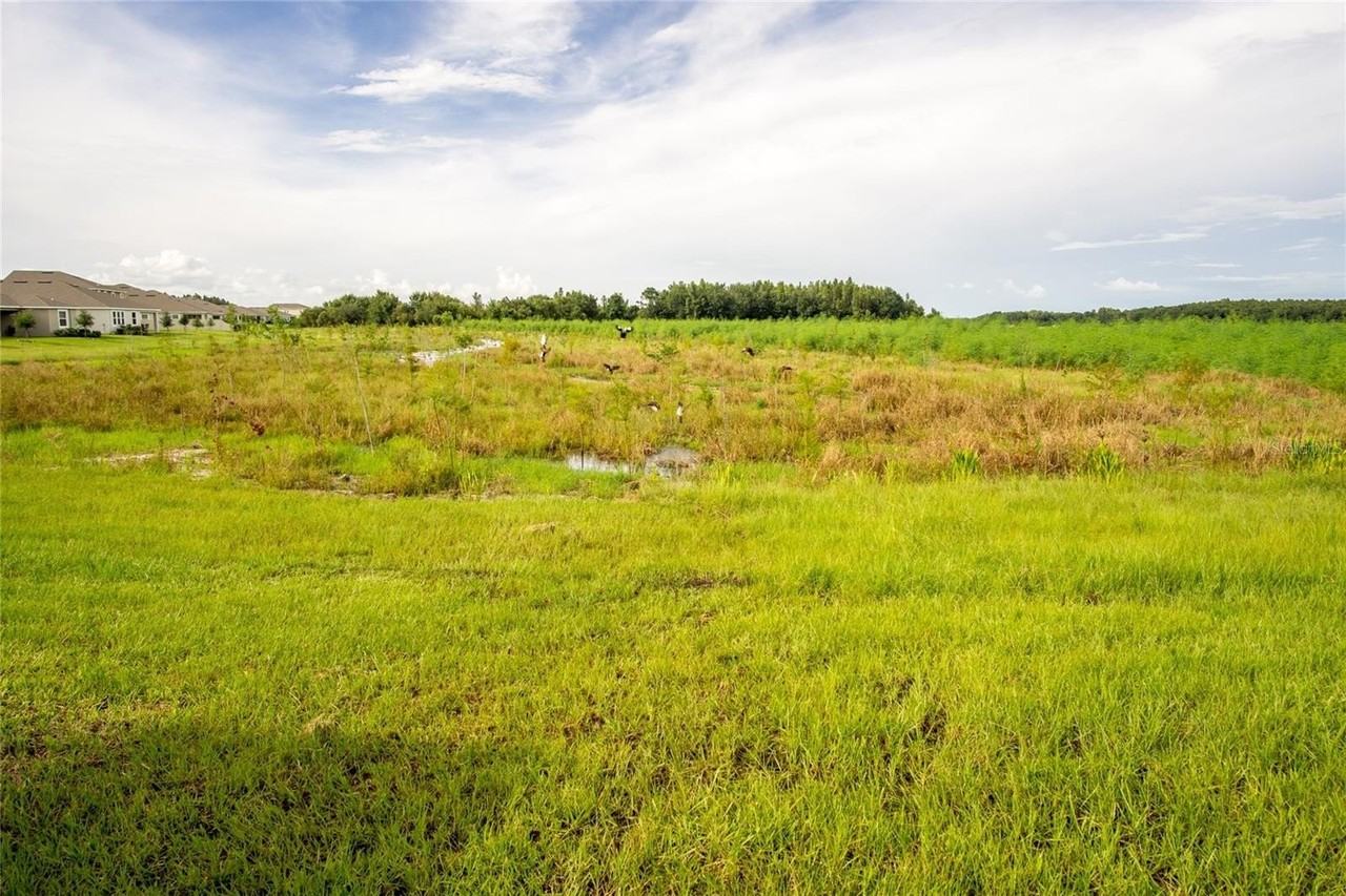 1172 Montgomery Bell Rd - Photo 4 of 47