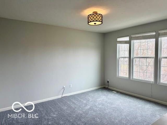 12687 White Chapel Cir - Photo 4 of 19