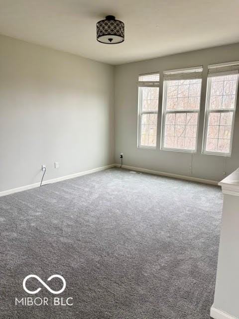 12687 White Chapel Cir - Photo 5 of 19