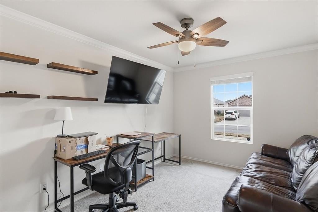 16041 Pious - Photo 5 of 36