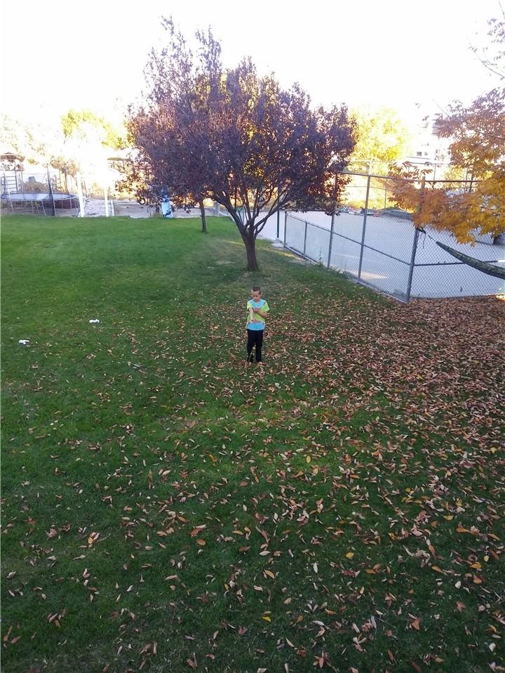 11559 S Thoroughbred Dr - Photo 3 of 6