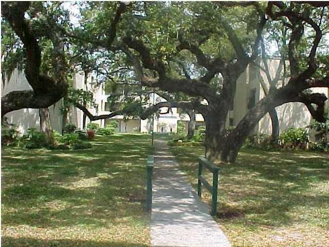 209 W Miracle Strip Pkwy #D303 - Photo 3 of 20