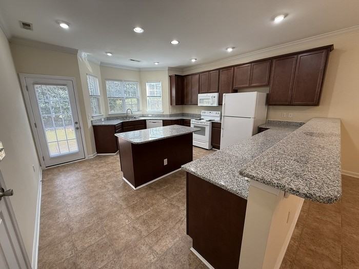 238 Maynard Summit Way - Photo 3 of 19