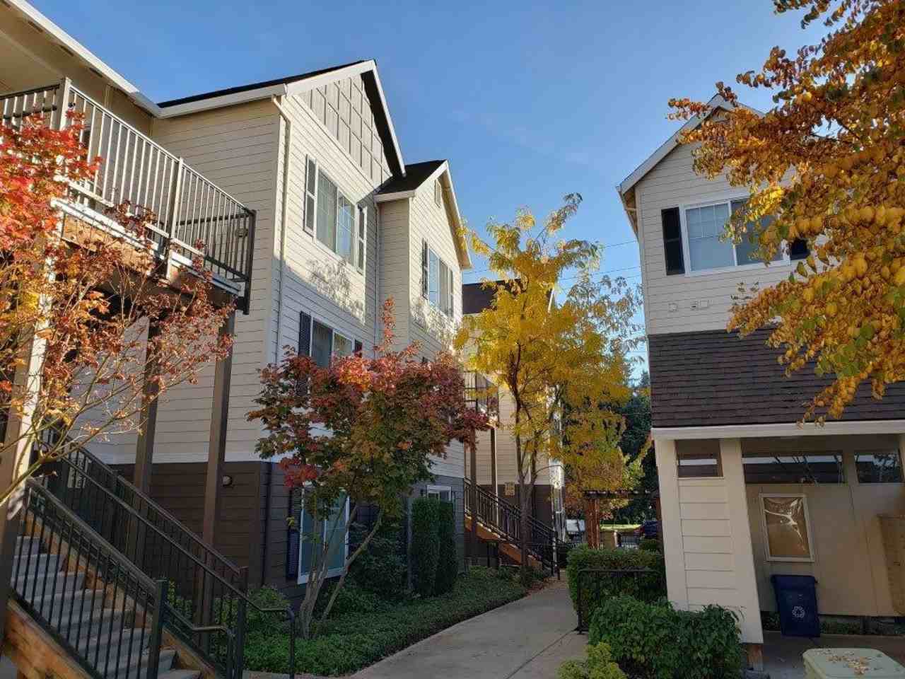 Belmar Commons - Photo 3 of 30