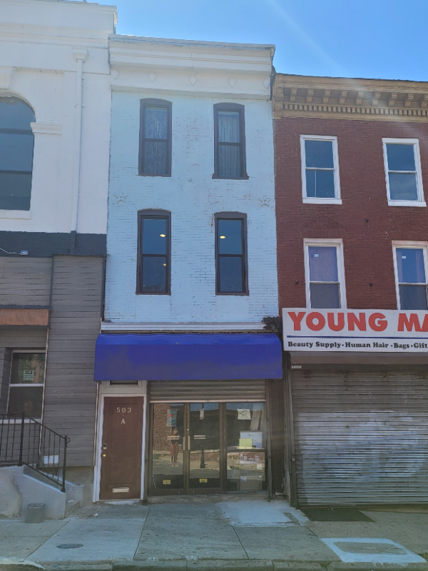 503 W Lexington St - Photo 6 of 17