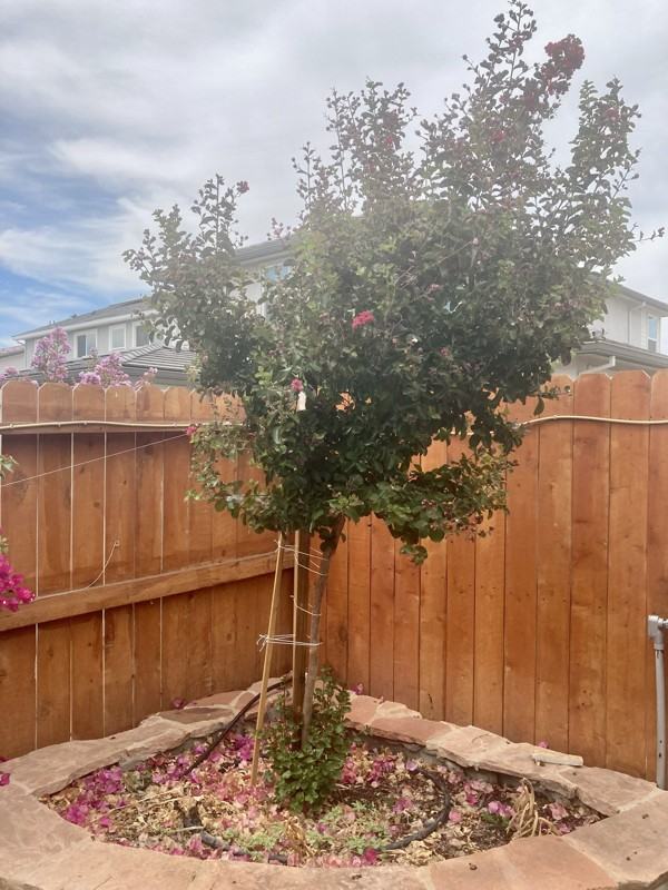 3213 Showcase Way - Photo 5 of 8