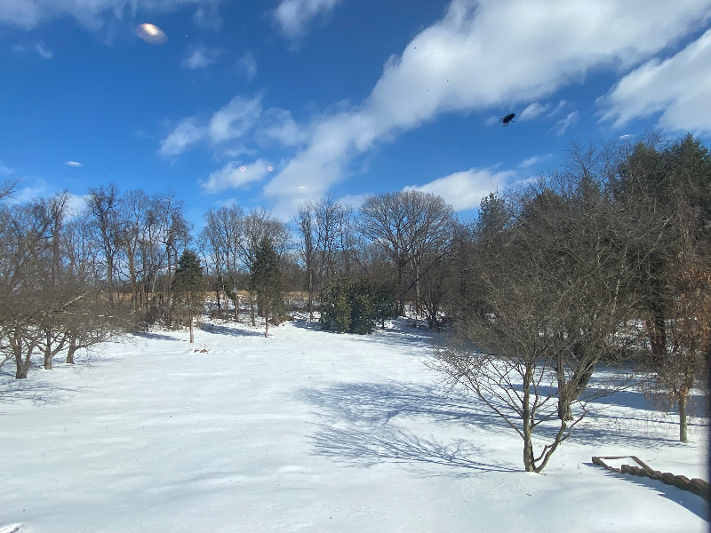 1732 Castleman Rd - Photo 5 of 20