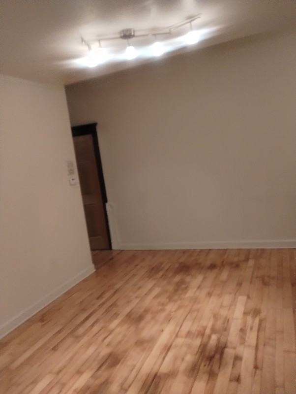 1942 W Division St #2R - Photo 5 of 14