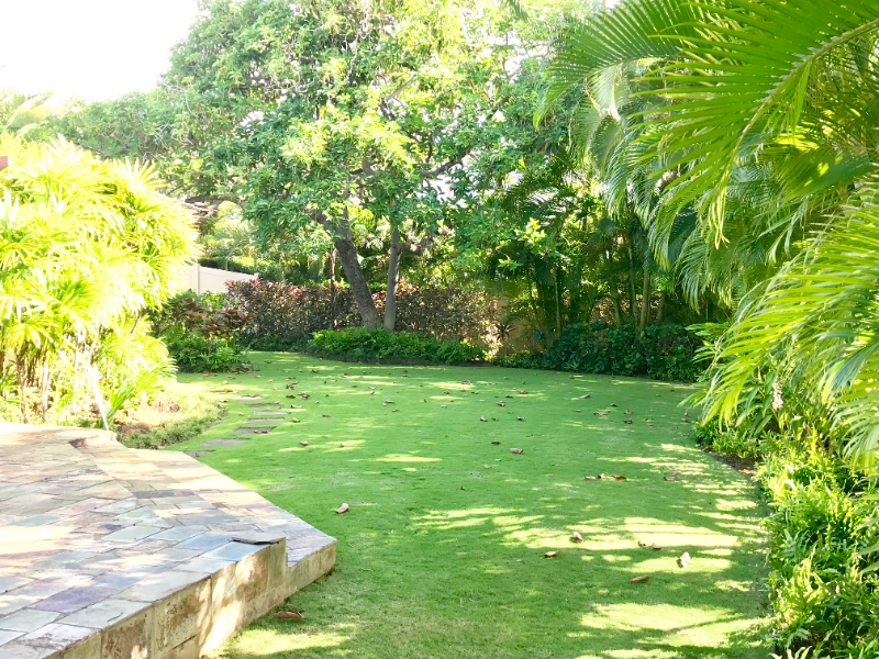 813 Hunakai St - Photo 3 of 6