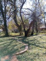 1214 Adelaide Dr #NA - Photo 1 of 1