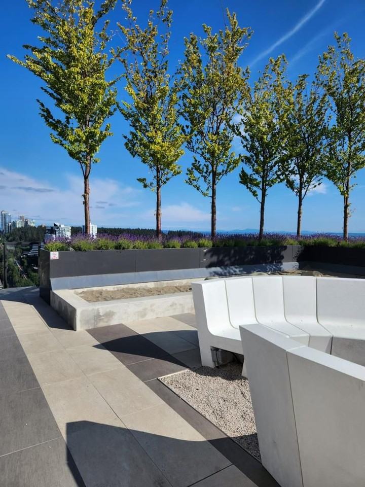 5058 Joyce Street #2301 - Photo 6 of 16