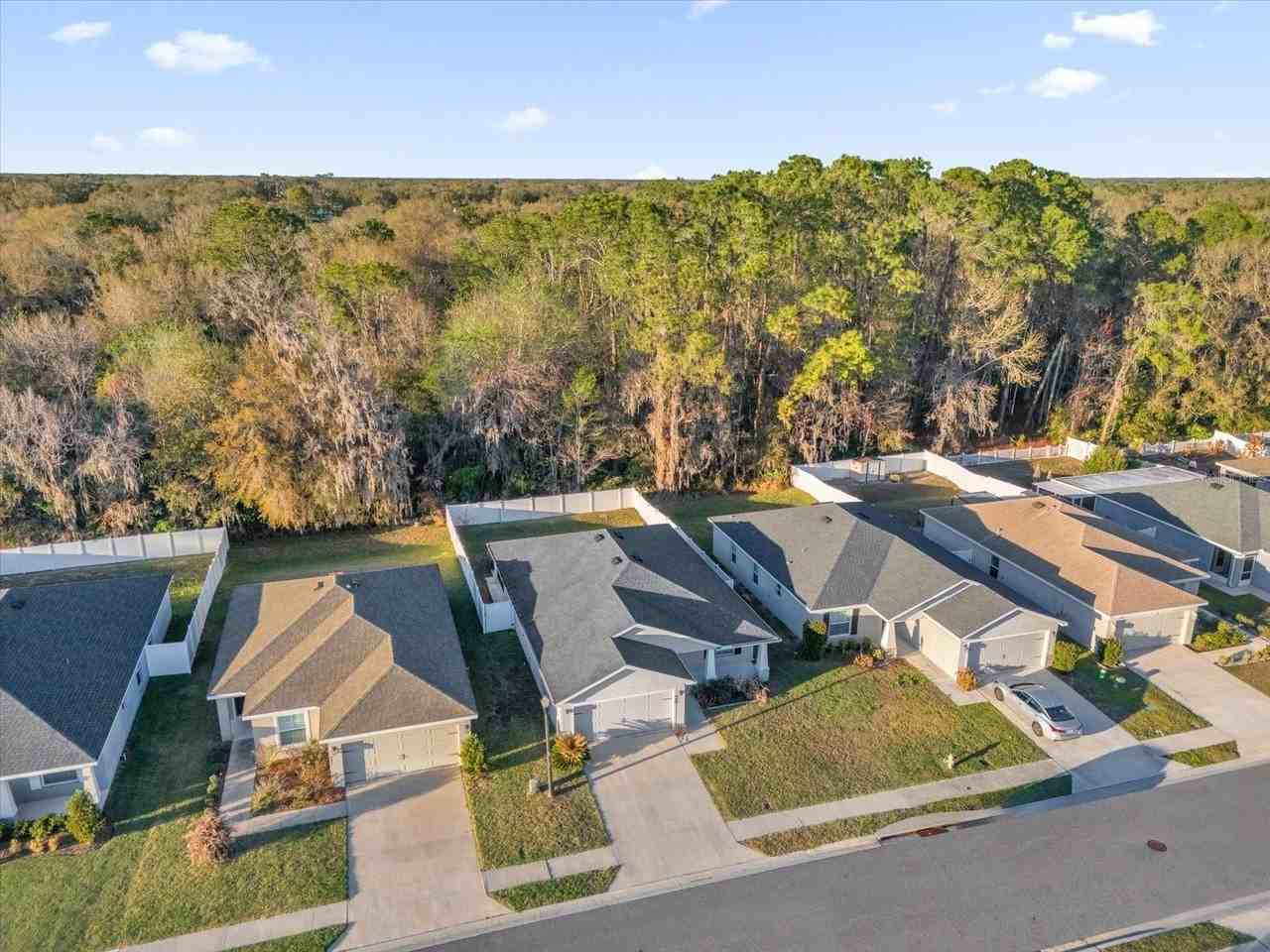 955 Pearly Ridge Ln - Photo 3 of 30