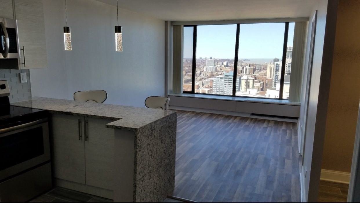 5455 N Sheridan Rd Apt 3405 - Photo 4 of 12