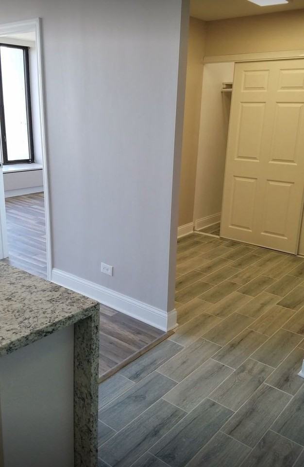 5455 N Sheridan Rd Apt 3405 - Photo 5 of 12