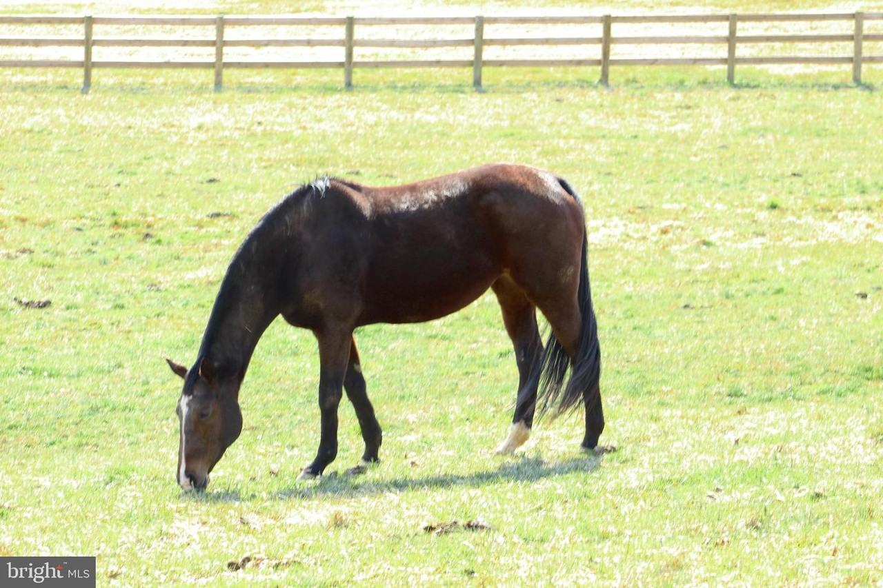 739 Main St - Photo 6 of 23