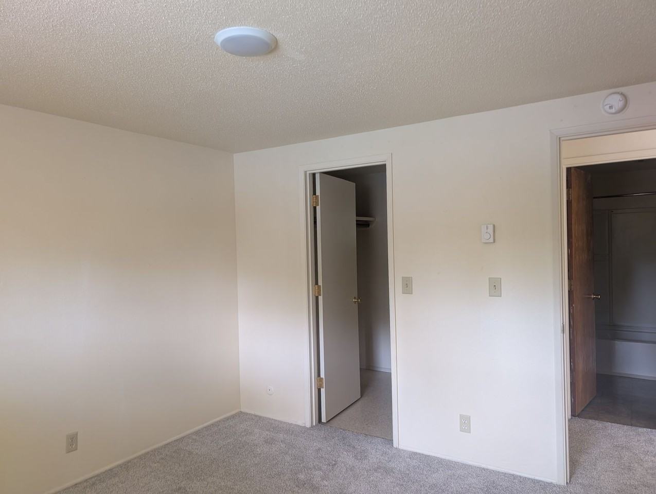 Maple - Photo 5 of 10