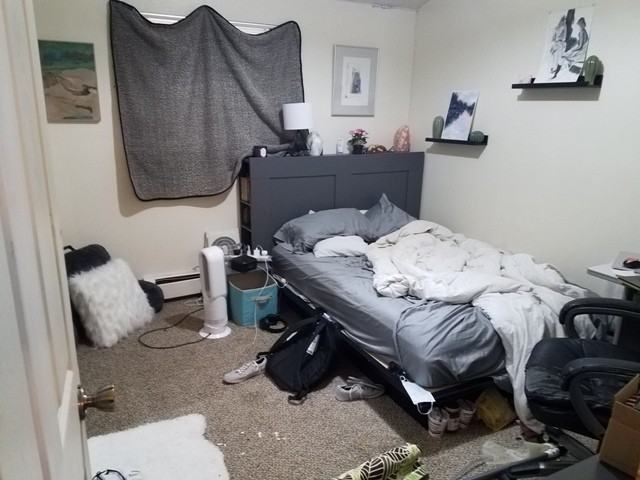 715 Marine St - Photo 6 of 17