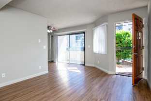 lou951 - Photo 1 of 1