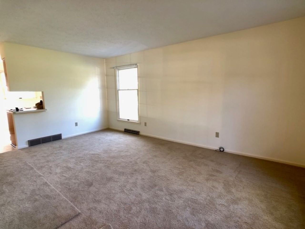 968 Woodland Rd #968 - Photo 4 of 8