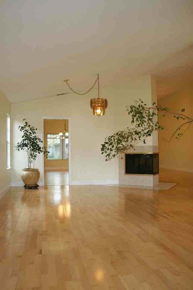 10317 Walnut Creek Ct - Photo 2 of 29