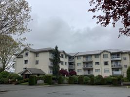 featured image of Dahlstrom Pl & George Ferguson Way