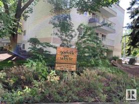 8149 111 St Nw #202 - Photo 1 of 1