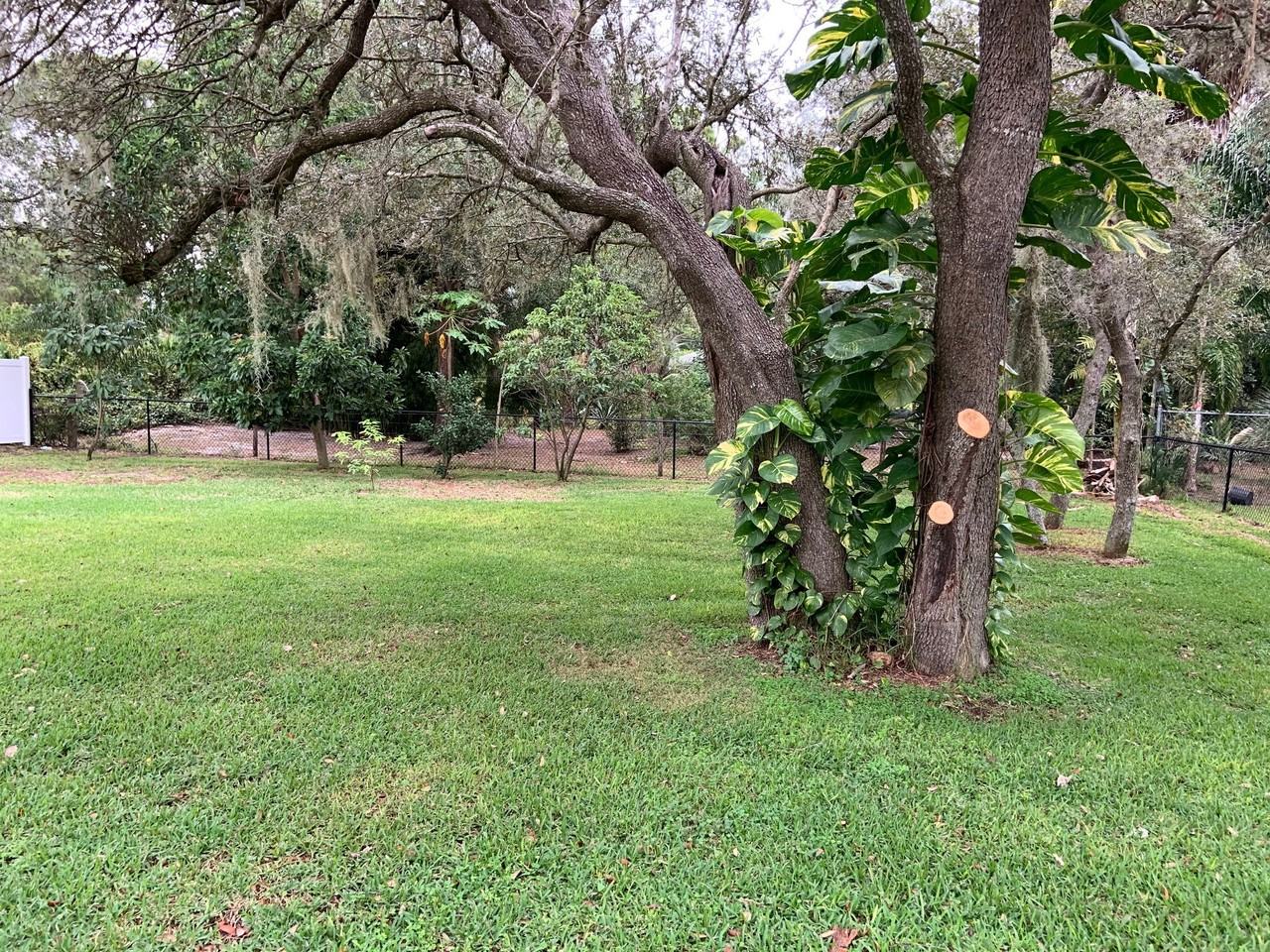 1539 Black Bear Ave #NA - Photo 5 of 50