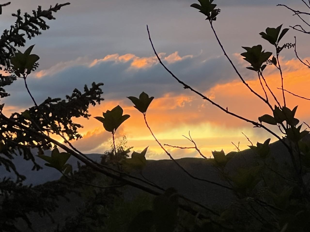 107 Spring Creek Ct #NA - Photo 6 of 15