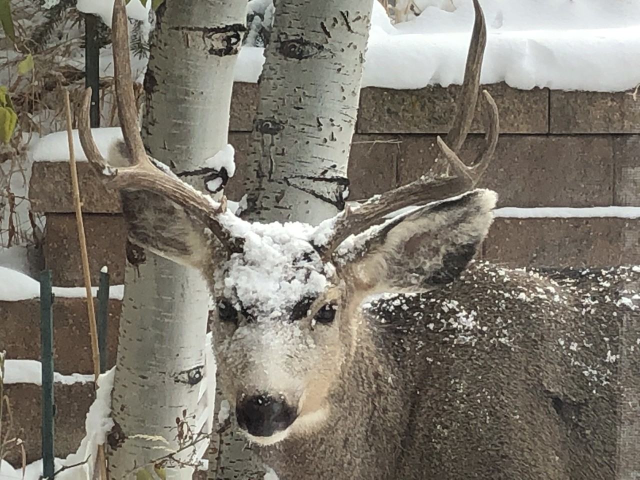 107 Spring Creek Ct #NA - Photo 7 of 15