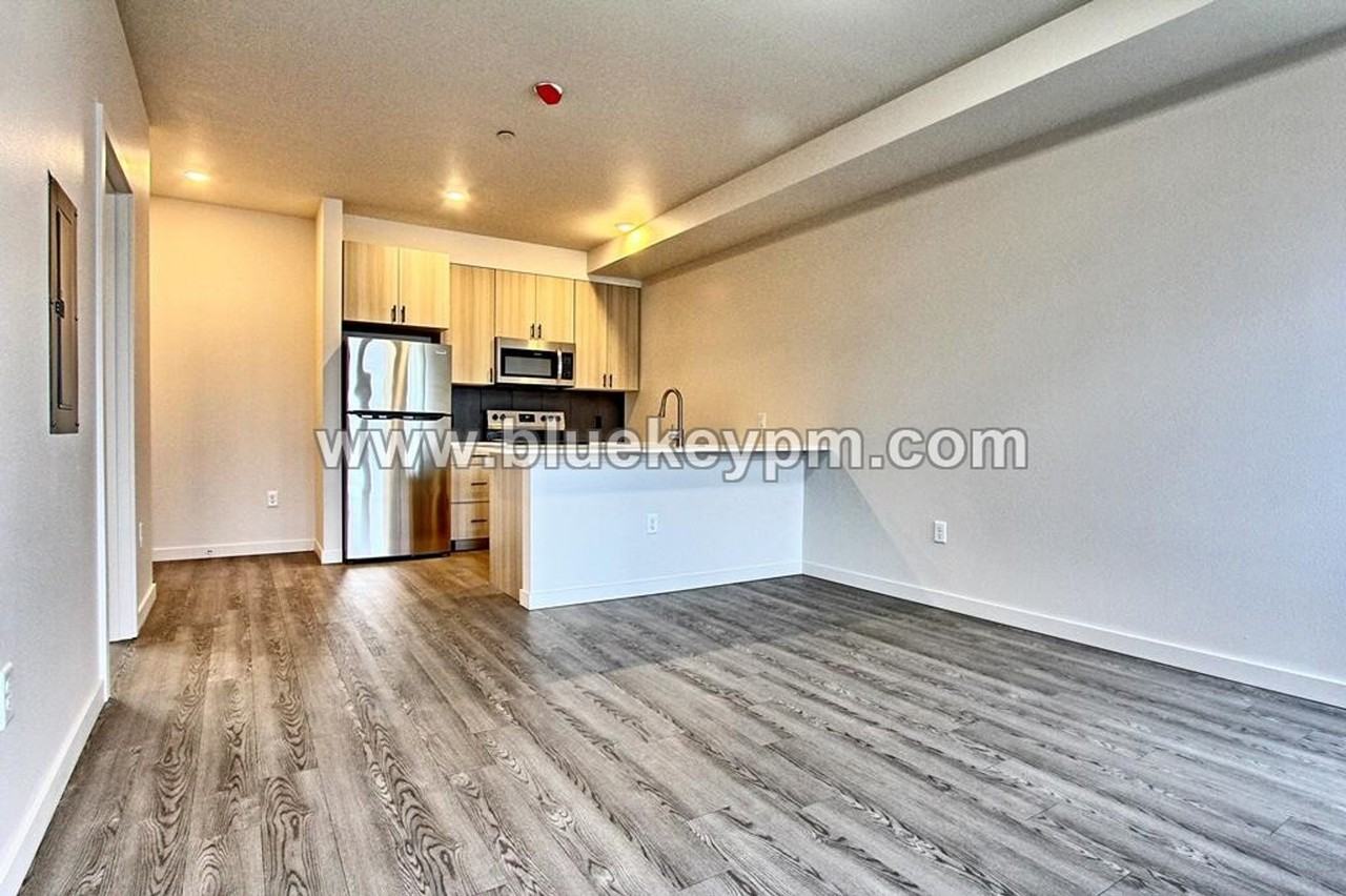 ORYA1515 - Photo 4 of 12