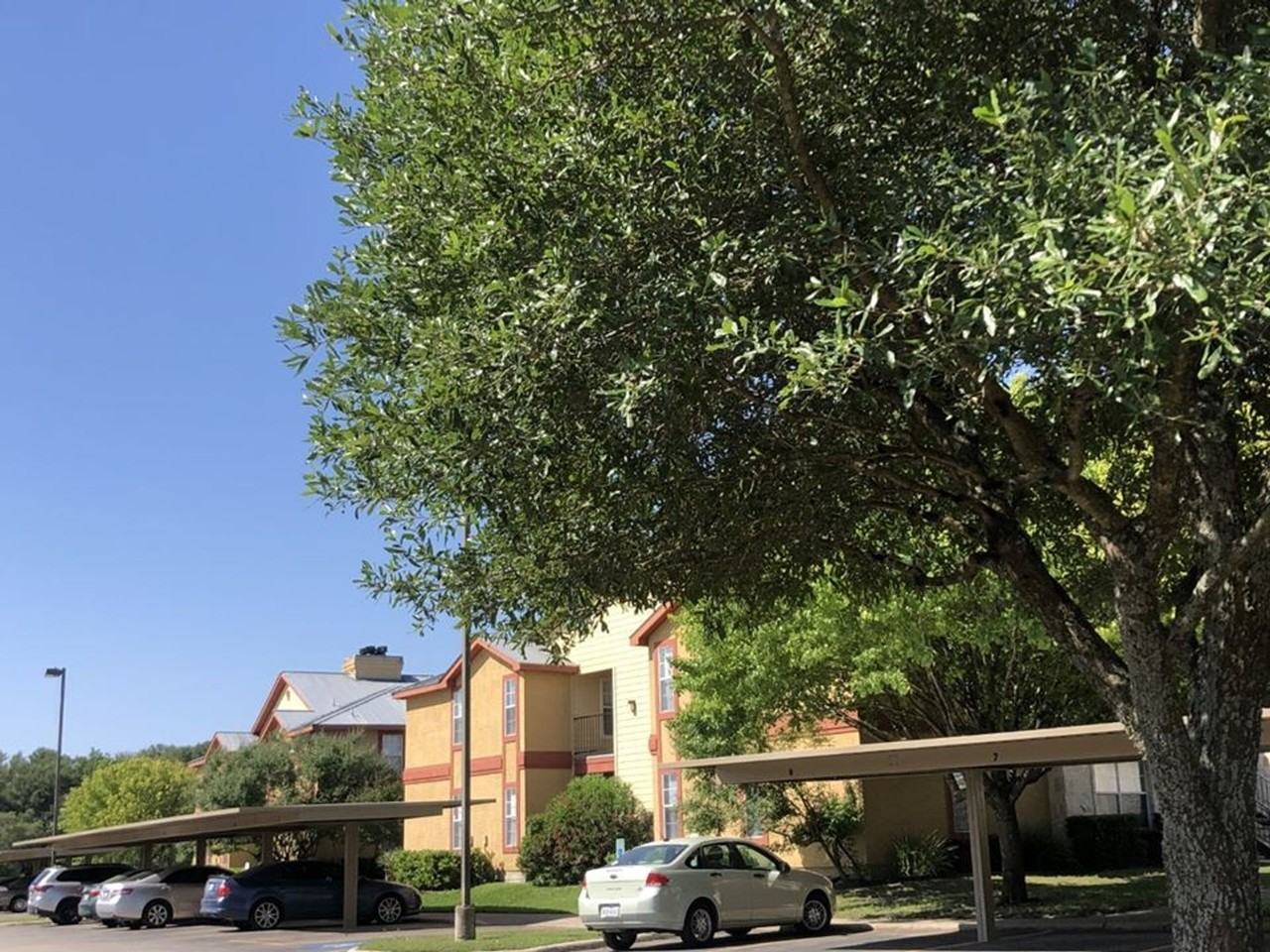 Ranger Creek Meadows - Photo 2 of 15